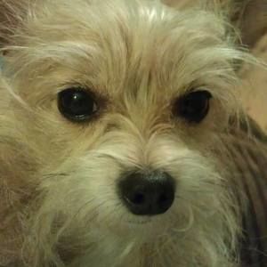 Meet your Posher, Sherry